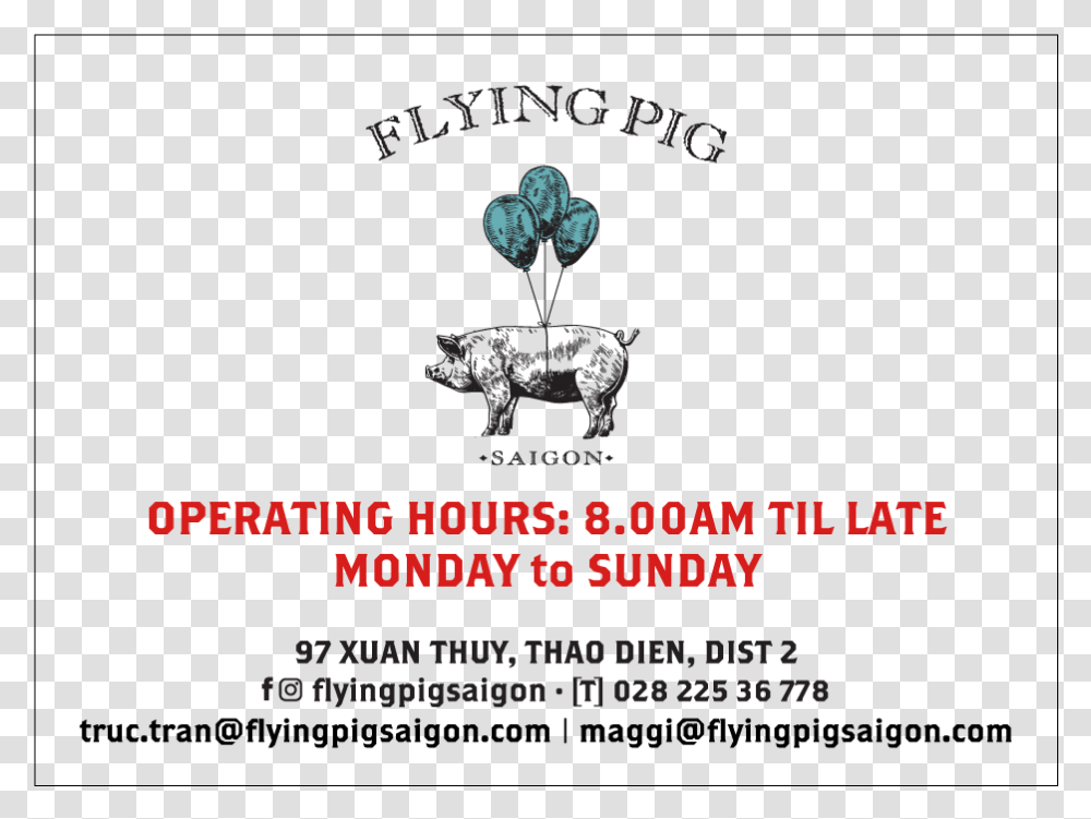 Flying Pig Saigon 97 Xuan Thuy Thao Dien Dist Papier Tigre, Animal, Word, Bird Transparent Png