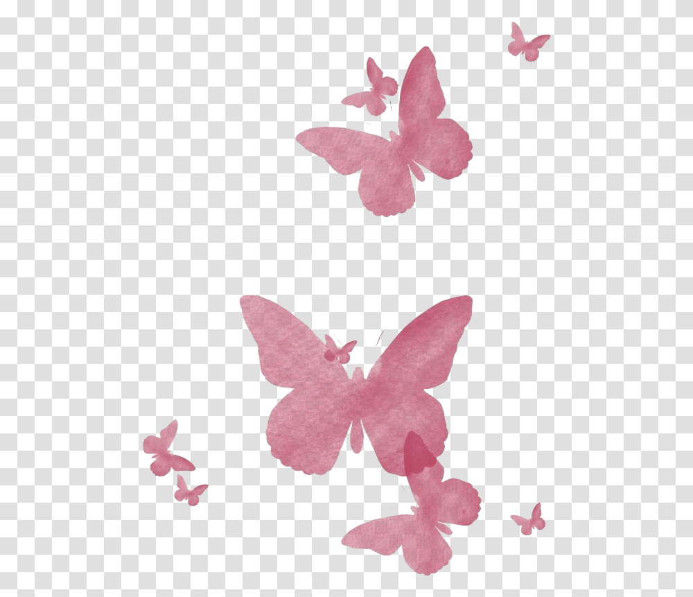 Flying Pink Butterfly Image Pink Butterfly Watercolor, Plant, Flower, Blossom, Leaf Transparent Png