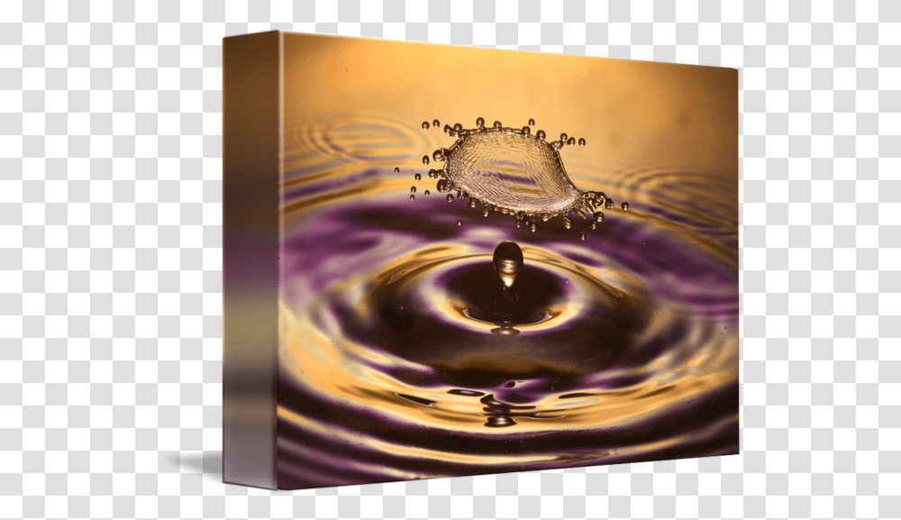 Flying Purple Gold Splash By Chris Cupit Drop, Water, Outdoors, Turtle, Reptile Transparent Png
