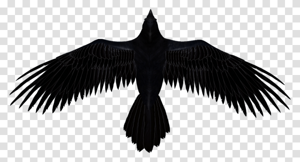 Flying Raven 7 Days To Die Ravenhearst, Vulture, Bird, Animal, Condor Transparent Png
