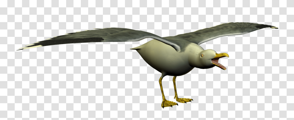 Flying Seagull Clipart Clip Art Of Seagull Clipart, Bird, Animal, Beak, Waterfowl Transparent Png