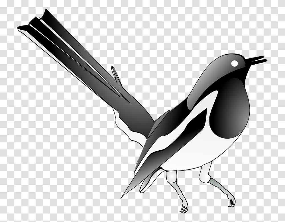 Flying Songbird Vectors, Animal, Magpie, Sword, Blade Transparent Png