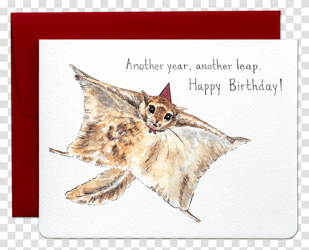 Flying Squirrel Birthday Card, Bird, Animal, Envelope, Mail Transparent Png