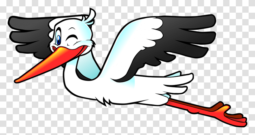 Flying Stork Clipart, Animal, Bird, Pelican, Crane Bird Transparent Png