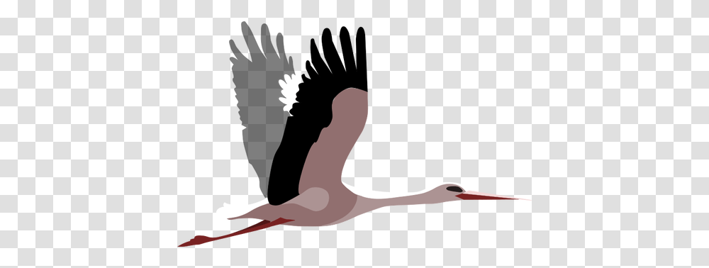 Flying Stork Vector Image, Animal, Bird, Flamingo, Person Transparent Png