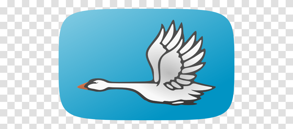 Flying Swan Clip Art, Bird, Animal, Waterfowl, Goose Transparent Png