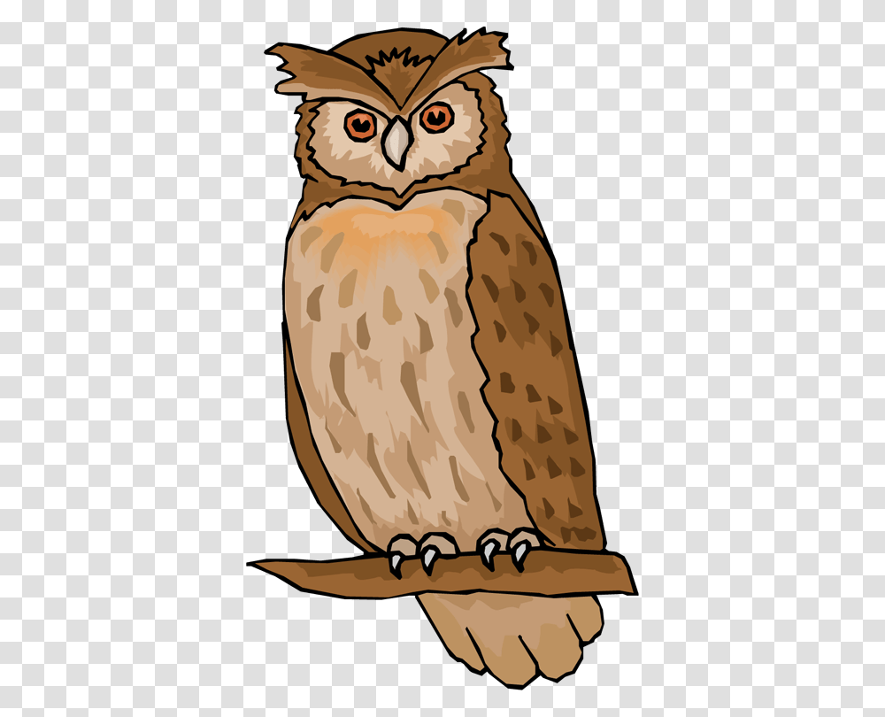 Flying Vector Barn Owl Clipart Image Of Owl, Bird, Animal, Penguin Transparent Png