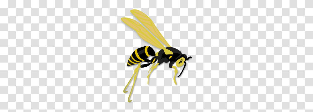 Flying Wasp Clip Art, Bee, Insect, Invertebrate, Animal Transparent Png