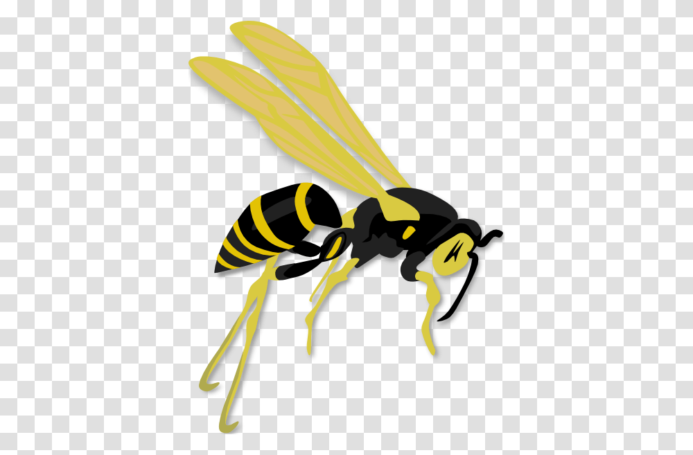 Flying Wasp Clip Art, Bee, Insect, Invertebrate, Animal Transparent Png