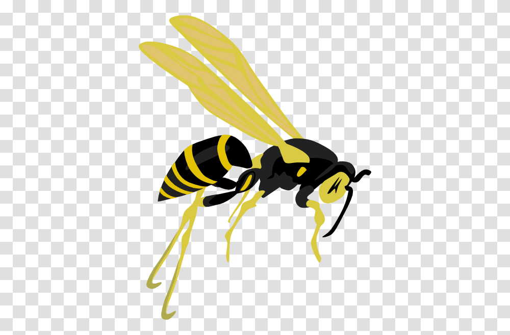 Flying Wasp Clip Art Free Vector, Bee, Insect, Invertebrate, Animal Transparent Png