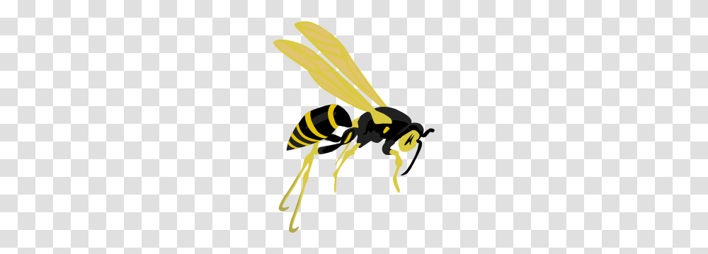 Flying Wasp Clip Art Free Vector, Bee, Insect, Invertebrate, Animal Transparent Png