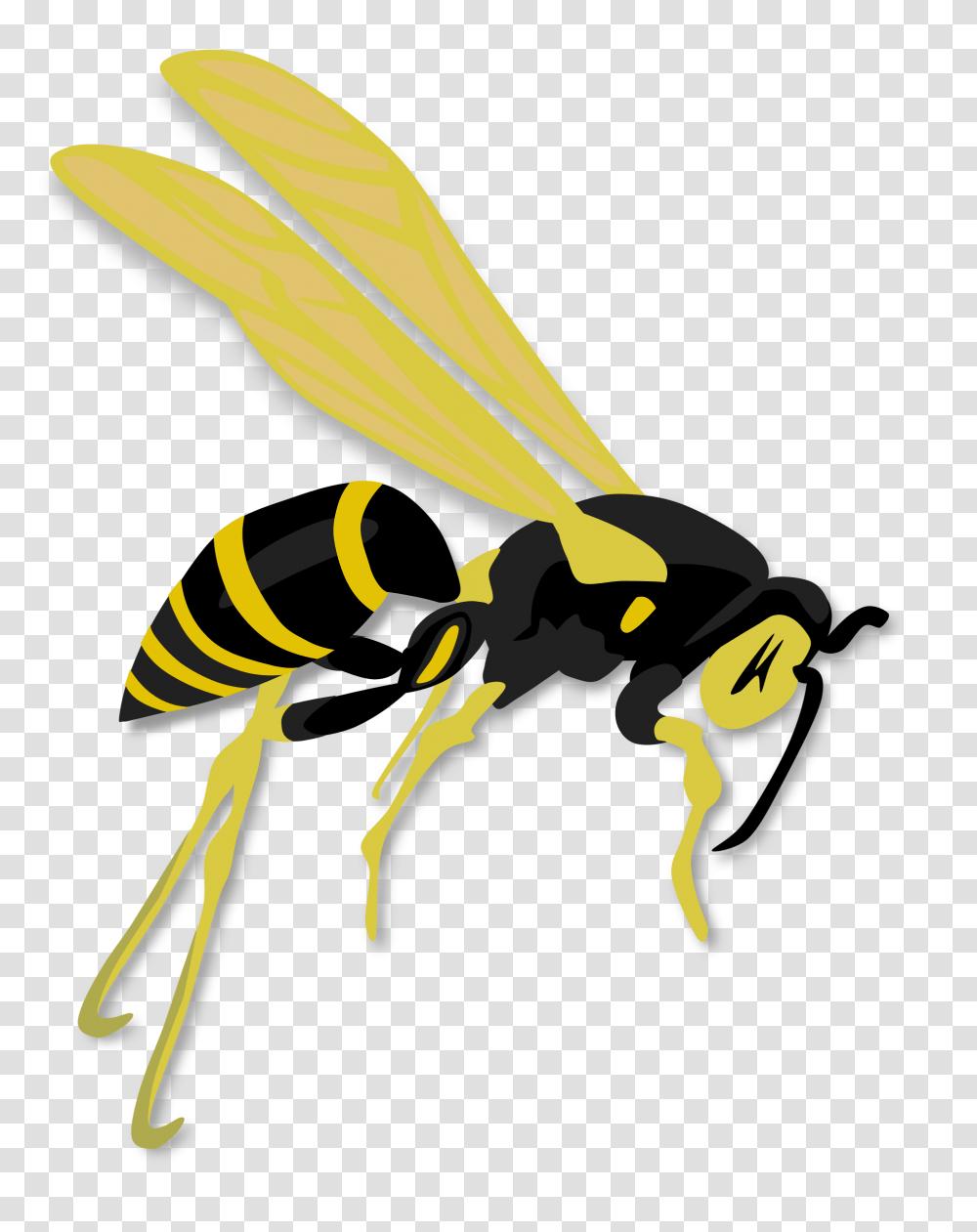 Flying Wasp Icons, Bee, Insect, Invertebrate, Animal Transparent Png