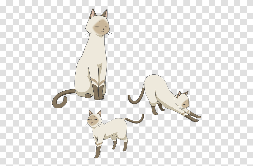 Flying Witch Anime Cat Image Flying Witch Anime Cat, Mammal, Animal, Pet, Wildlife Transparent Png