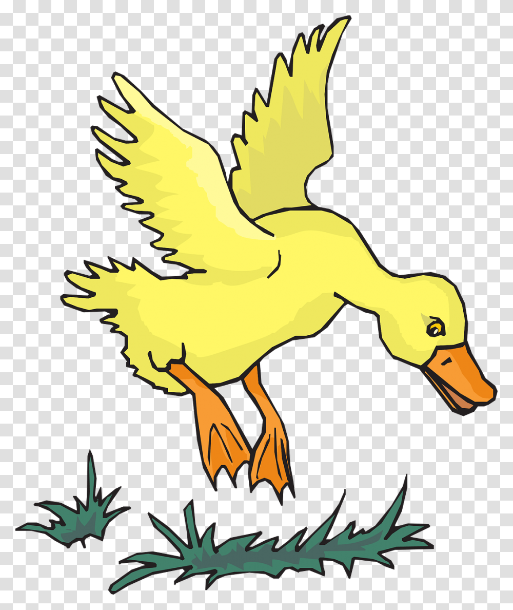 Flying Yellow Duck, Bird, Animal, Goose Transparent Png