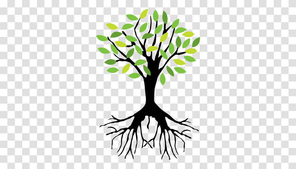 Flynns Tree Pros, Plant, Flower, Blossom, Green Transparent Png