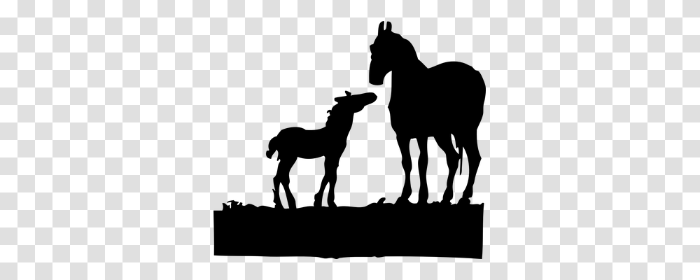 Foal Animals, Gray, World Of Warcraft Transparent Png