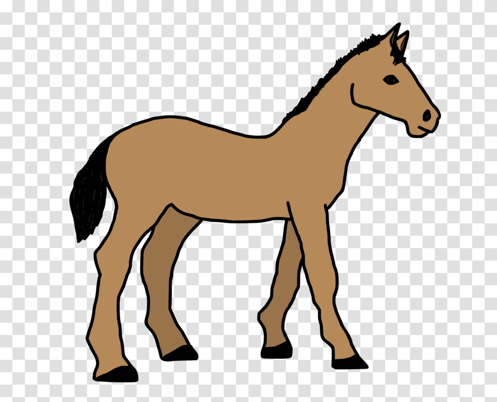 Foal Horse Pony Mule Colt, Mammal, Animal, Colt Horse Transparent Png