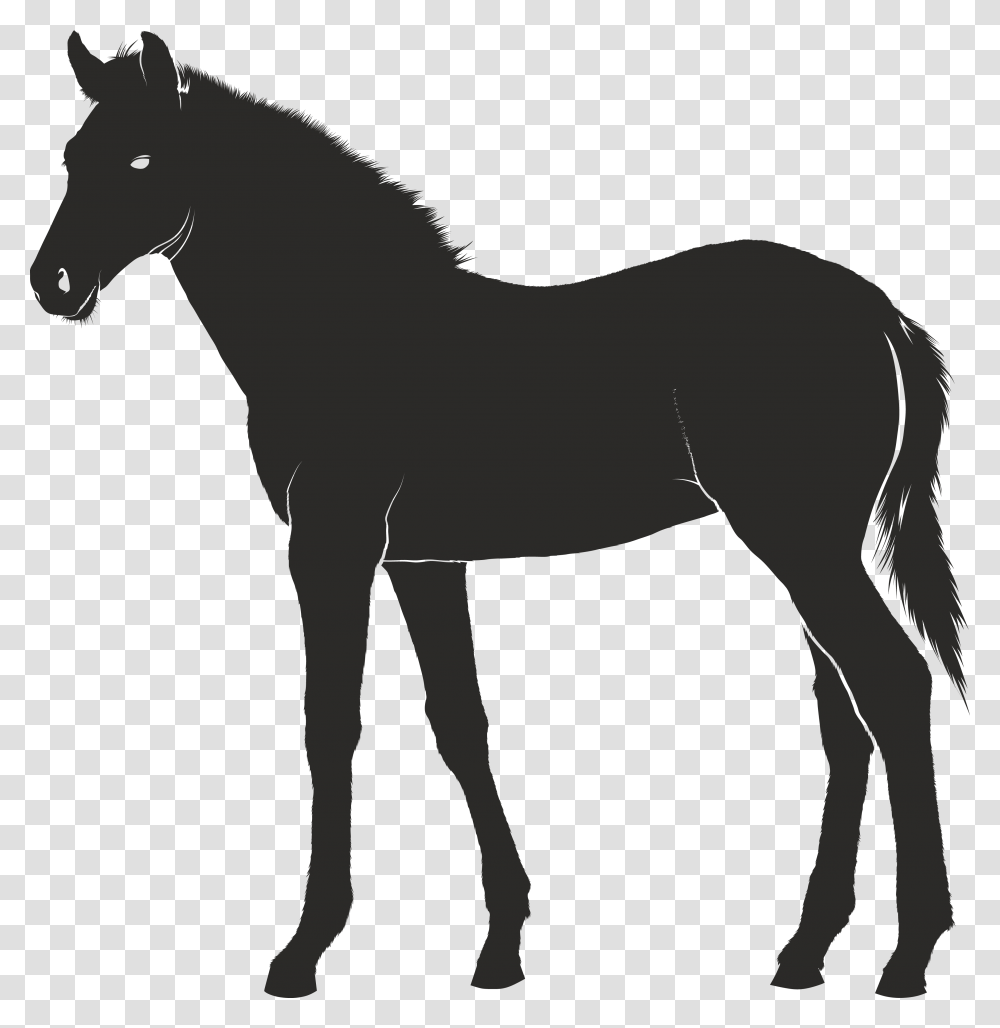 Foal Konik Pony Mastiff Clipart, Horse, Mammal, Animal, Colt Horse Transparent Png