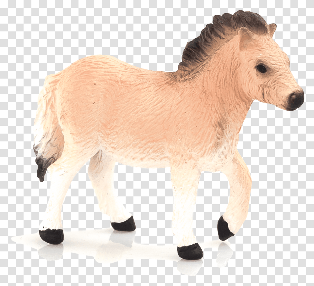 Foal Pony, Mammal, Animal, Horse, Cow Transparent Png