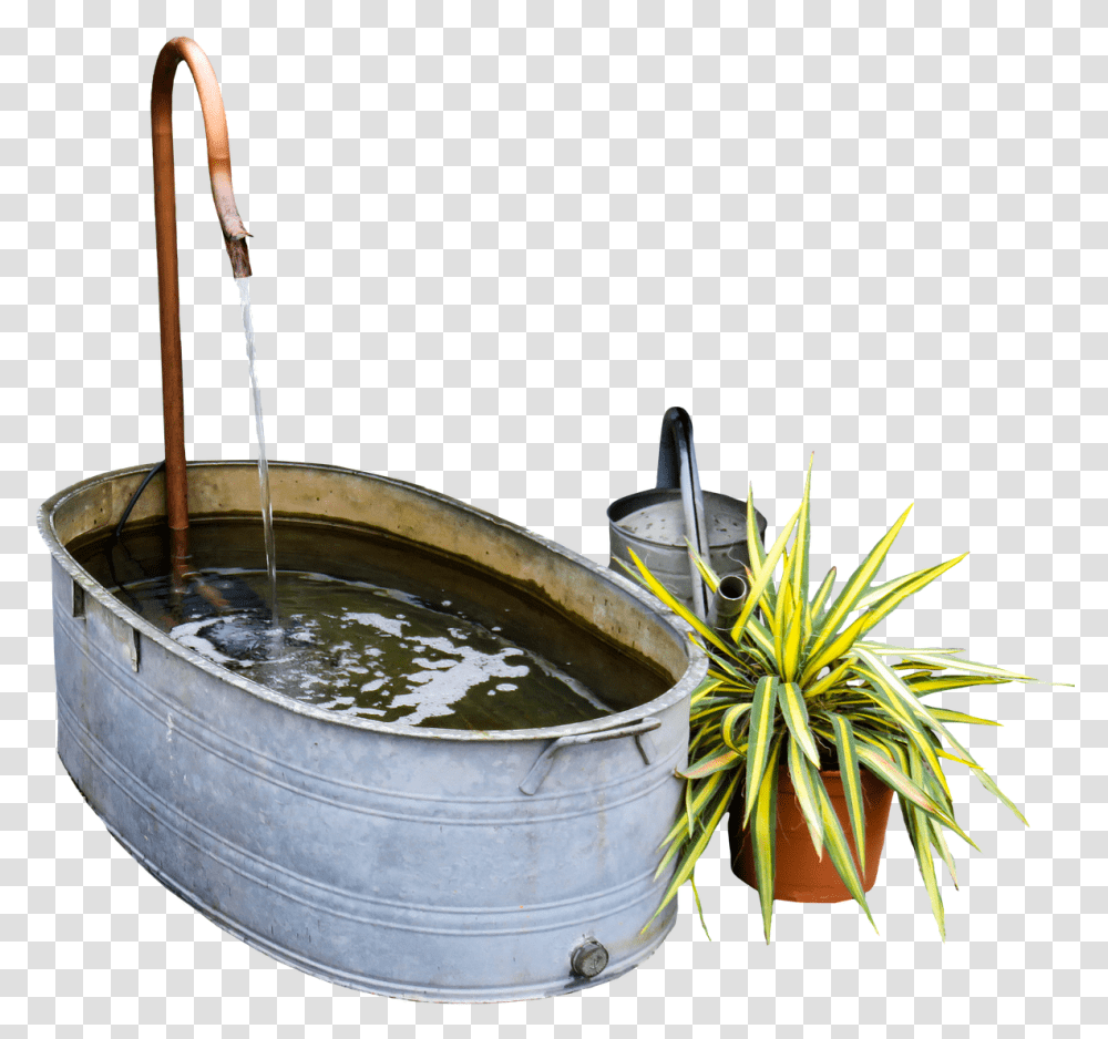 Focal Point In Small Garden, Water, Plant, Outdoors, Barrel Transparent Png