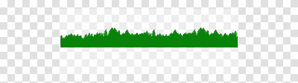 Fog Over The Forest Pixel Picture, Plant, Spoke, Tree, Outdoors Transparent Png