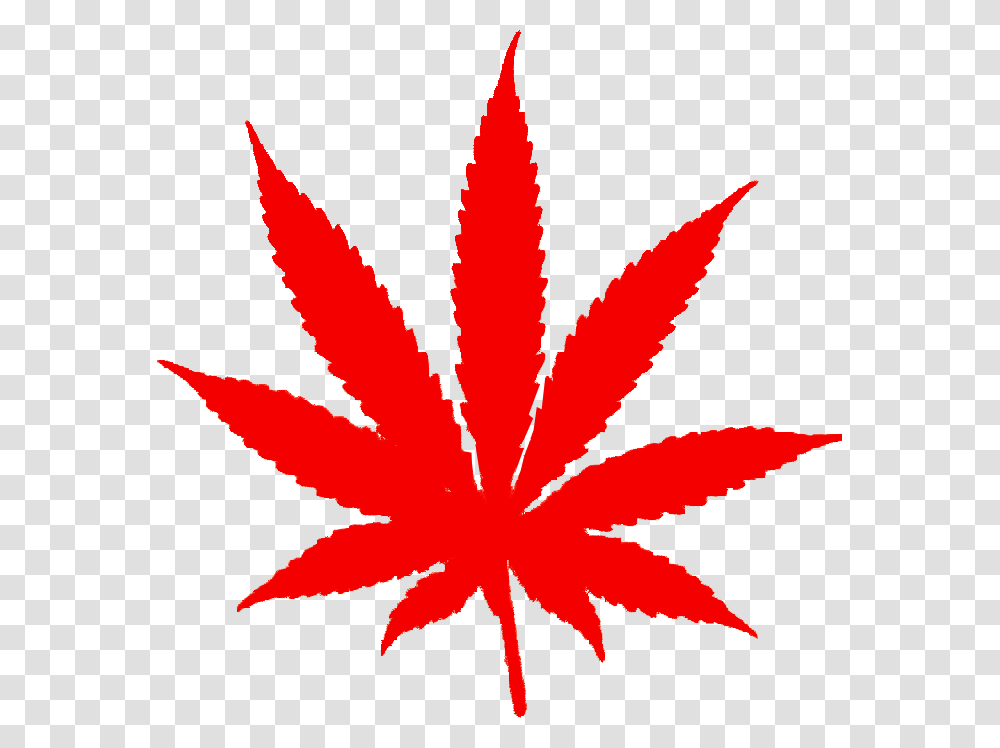 Foglia Di Marijuana Marijuana Leaf, Plant, Tree, Maple Leaf Transparent Png