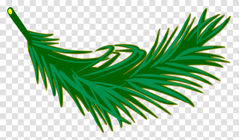 Foglia Palma 5 Image Palm Leaf Cliparts, Plant, Green, Bird, Food Transparent Png