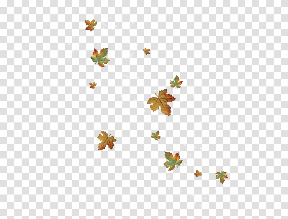 Foglie Cadute, Leaf, Plant, Jigsaw Puzzle, Game Transparent Png