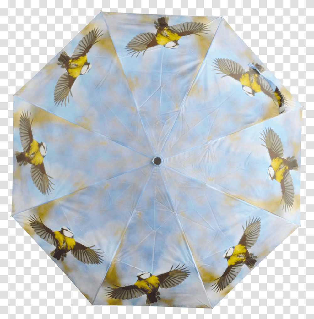 Foldable Umbrella Ass Umbrella, Adventure, Leisure Activities, Bird, Animal Transparent Png