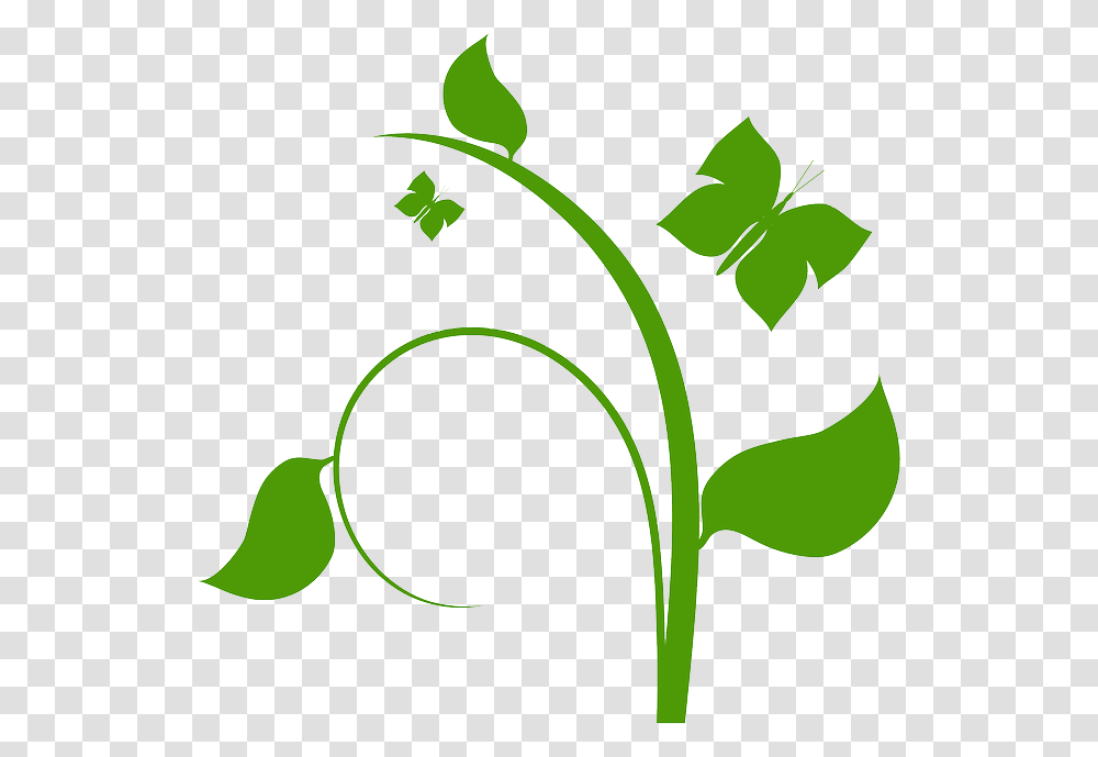 Folhas, Green, Plant, Recycling Symbol, Leaf Transparent Png