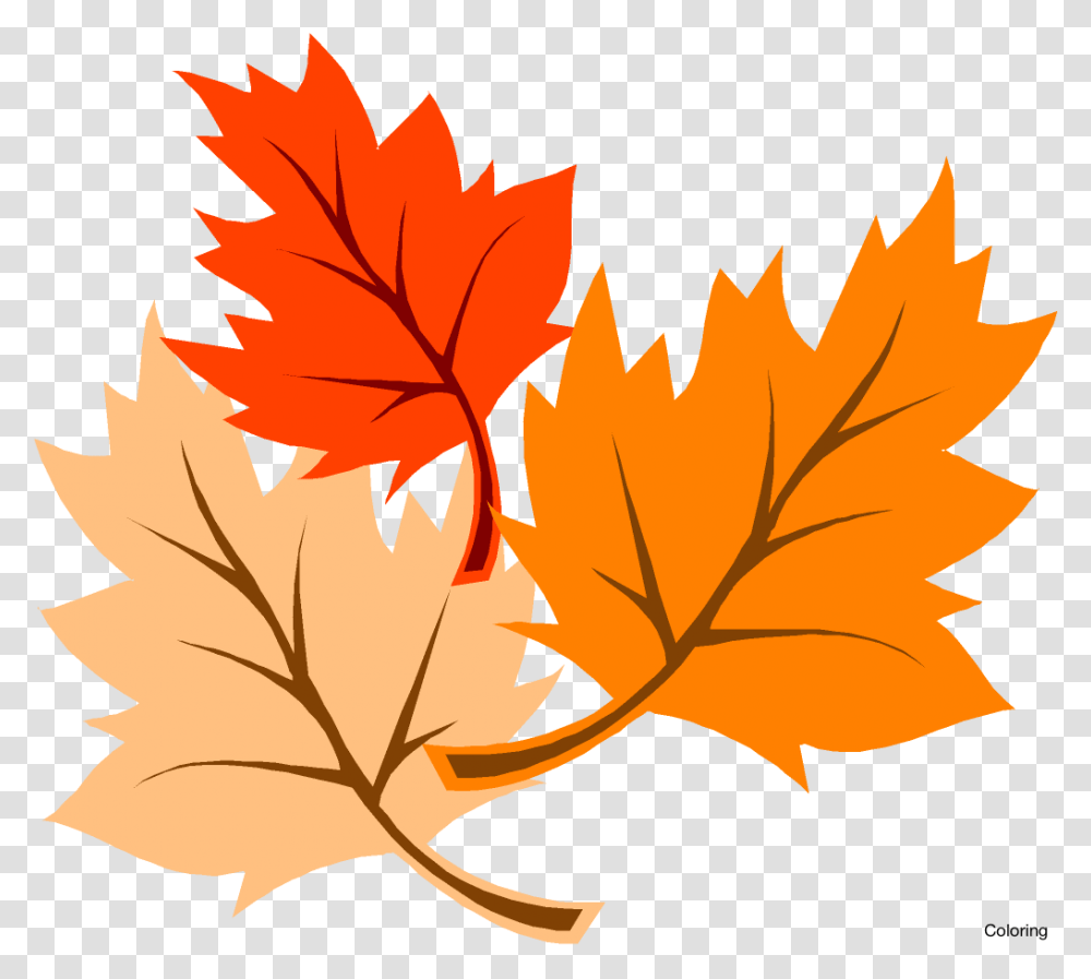 Foliage Clipart Leaves, Leaf, Plant, Tree, Maple Leaf Transparent Png