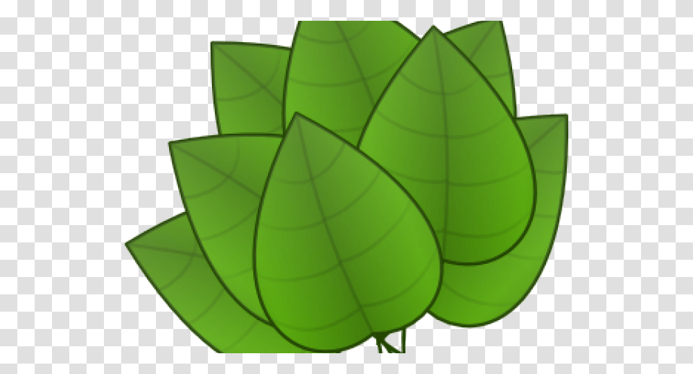 Foliage Clipart Rainforest Leave, Leaf, Plant, Green, Veins Transparent Png