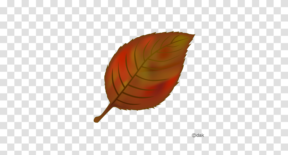 Foliage Clipart Red Leaf, Plant, Lamp, Veins Transparent Png