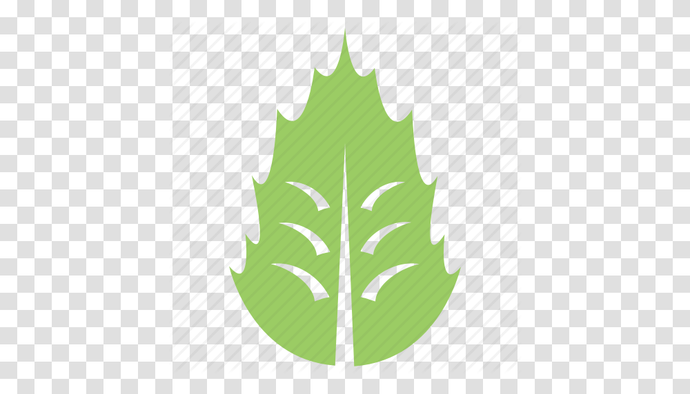 Foliage Green Leaf Holly Leaf Leaf Mistletoe Leaf Icon, Plant, Maple Leaf, Tree, Bird Transparent Png