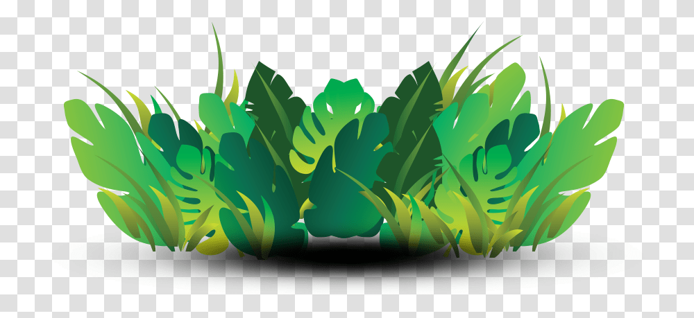 Foliage Illustration, Green, Plant, Leaf, Vegetable Transparent Png
