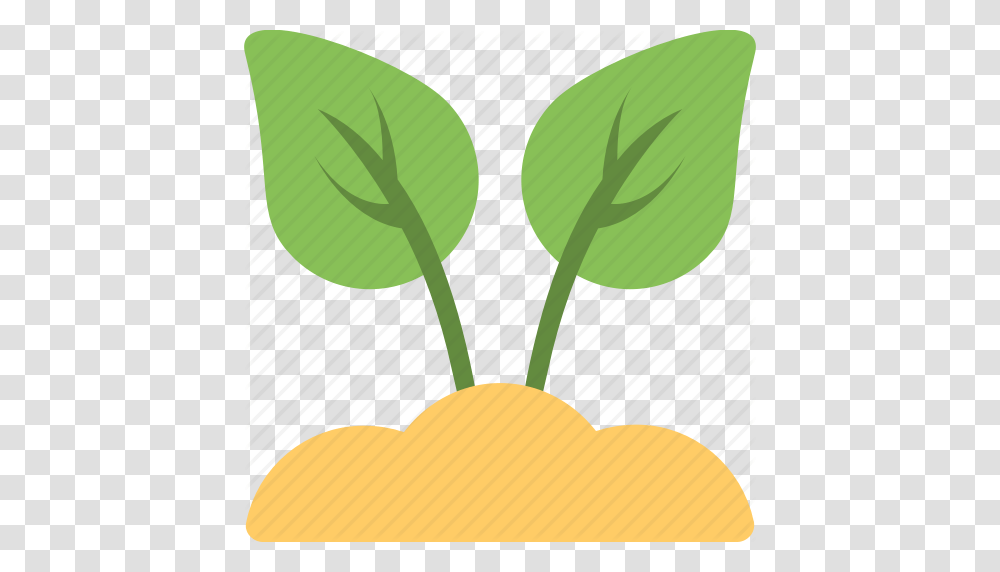 Foliage Leaves Plant Sapling Seedling Icon, Food, Flower, Vegetable, Rubber Eraser Transparent Png
