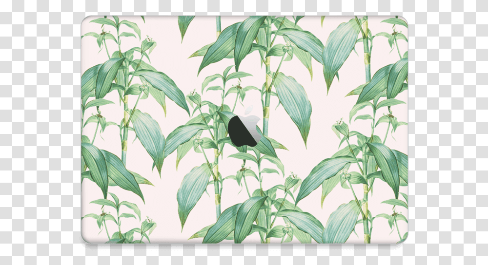 Foliage Love Skin Macbook Air 2018 Bird, Blackbird, Animal, Agelaius, Plant Transparent Png