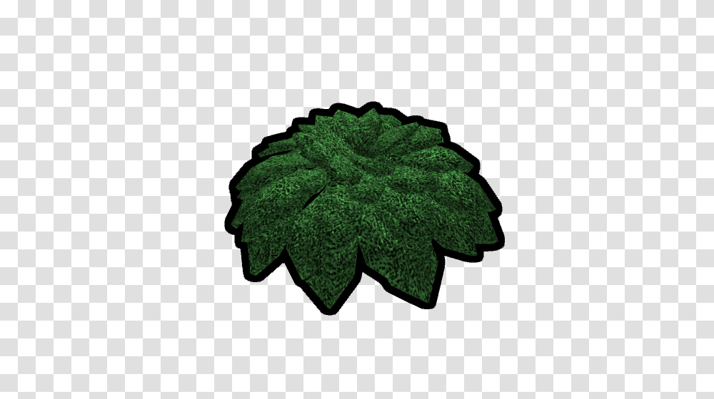 Foliage Official Barren Wiki Fandom Powered, Leaf, Plant, Tree, Maple Leaf Transparent Png
