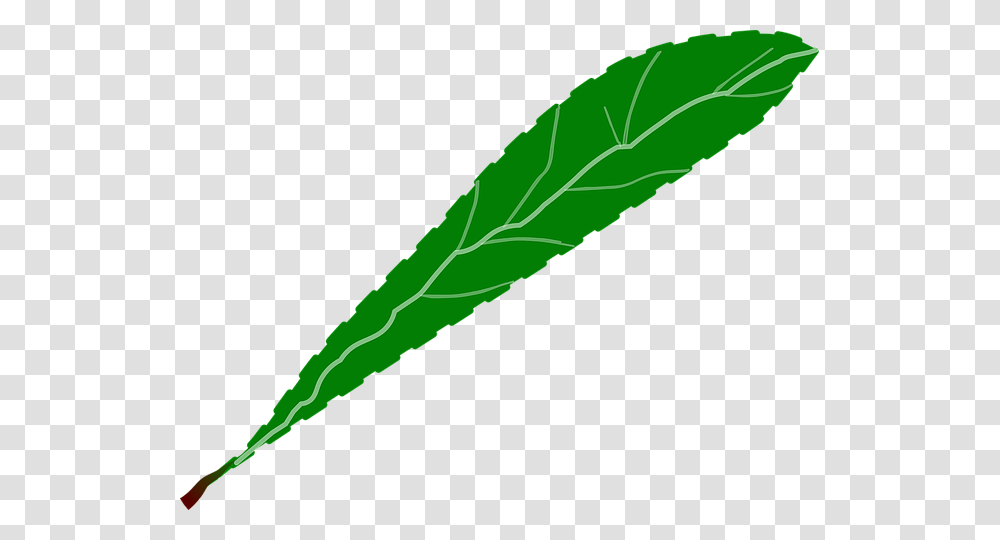 Foliage Petalos Verde, Leaf, Plant, Tobacco, Pen Transparent Png