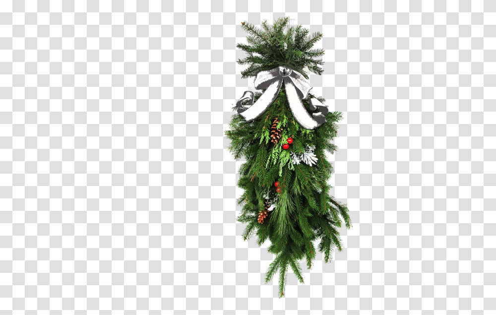 Follaje, Tree, Plant, Ornament, Christmas Tree Transparent Png