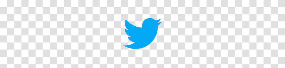 Follow Icons, Animal, Bird, Person, Logo Transparent Png