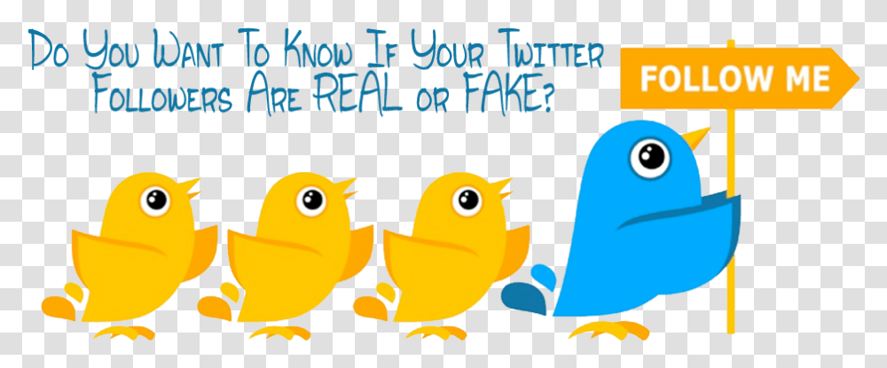 Follow Me On Twitter, Bird, Animal, Peeps Transparent Png