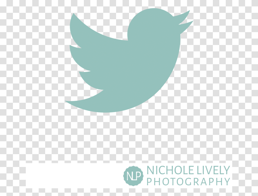 Follow Me On Twitter, Logo, Animal Transparent Png