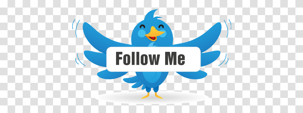 Follow Me Twitter Follow Me, Jay, Bird, Animal, Blue Jay Transparent Png
