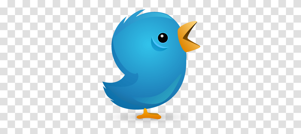 Follow Me Twitter Pictures Songbirds, Animal, Balloon, Beak, Bluebird Transparent Png