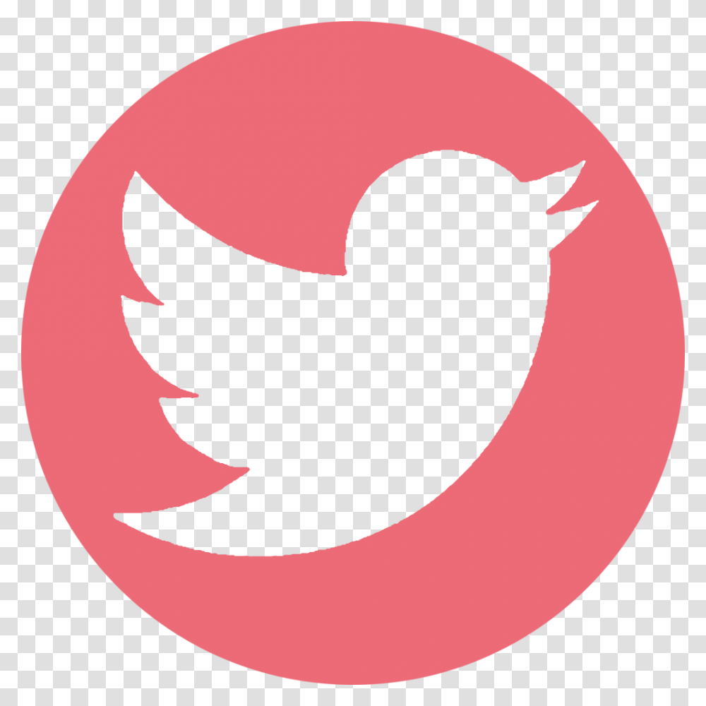 Follow My Gluten Free Blog On Twitter Black Twitter Logo Background, Trademark, First Aid Transparent Png
