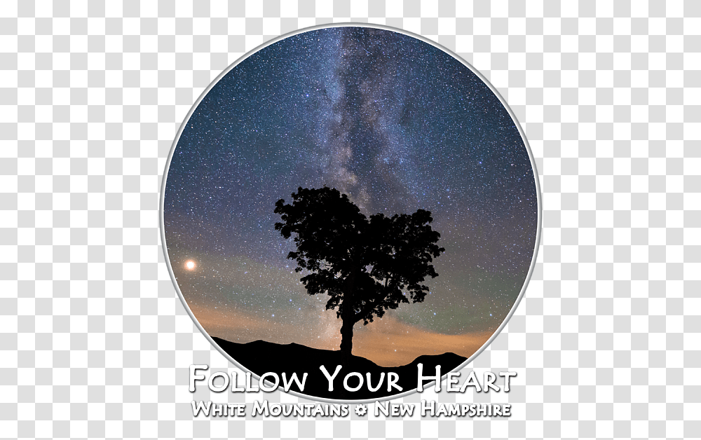 Follow Your Heart Background T Shirt Tree, Nature, Outdoors, Outer Space, Astronomy Transparent Png