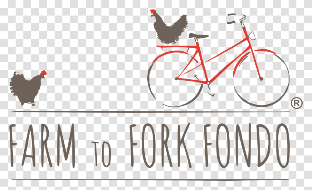 Fondo, Bicycle, Vehicle, Transportation, Wheel Transparent Png