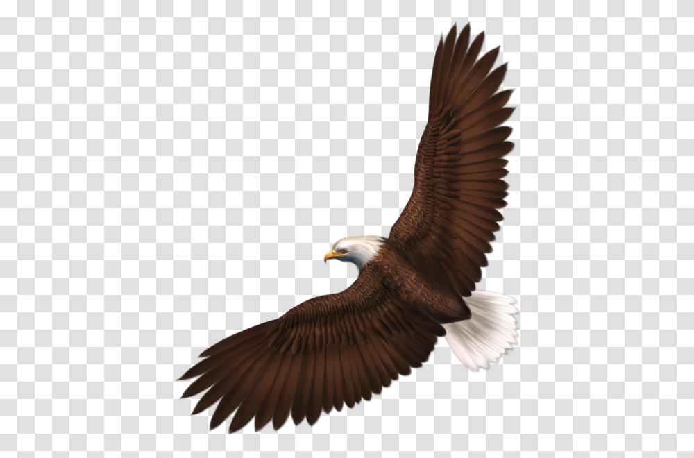 Fonts And Printables Birds, Animal, Eagle, Bald Eagle, Flying Transparent Png