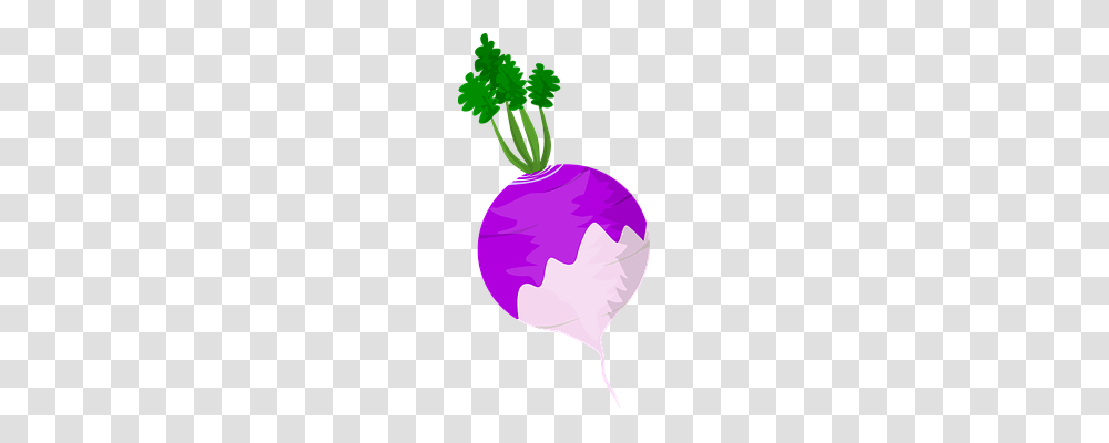 Food Plant, Purple, Turnip, Produce Transparent Png